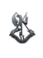 Canadian Forces 6th DCRCH Duke of Yorks Hussars Cap Badge
