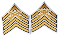 Canadian Forces Bugle Major Sleeve Rank Insignia Pair Canadian Forces Bugle Major Sleeve Rank Insignia Pair