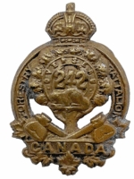 WW1 Canadian CEF 242nd Battalion Collar Insignia Single