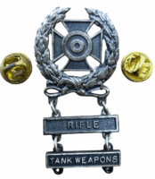 US Army Skill At Arms Marksman Rifle Tank Weapons Insignia Pin Back