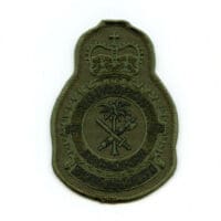 RCAF CAF Canadian 417 Squadron Heraldic OD Crest Patch