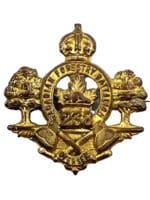 WW1 Canadian CEF 238th Battalion Officers Collar Insignia Single WW1 Canadian CEF 238th Battalion Officers Collar Insignia Single