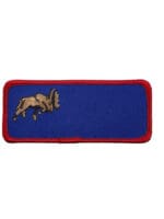 Canadian Forces RCAF 419 Squadron Colour Name Tape Crest Patch