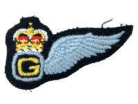 British Army Air Force RAF Glider Pilot Half Wing