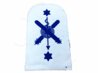 British RN Navy Torpedo Anti Submarine 2nd Class Rating Patch Insignia British RN Navy Torpedo Anti Submarine 2nd Class Rating Patch Insignia