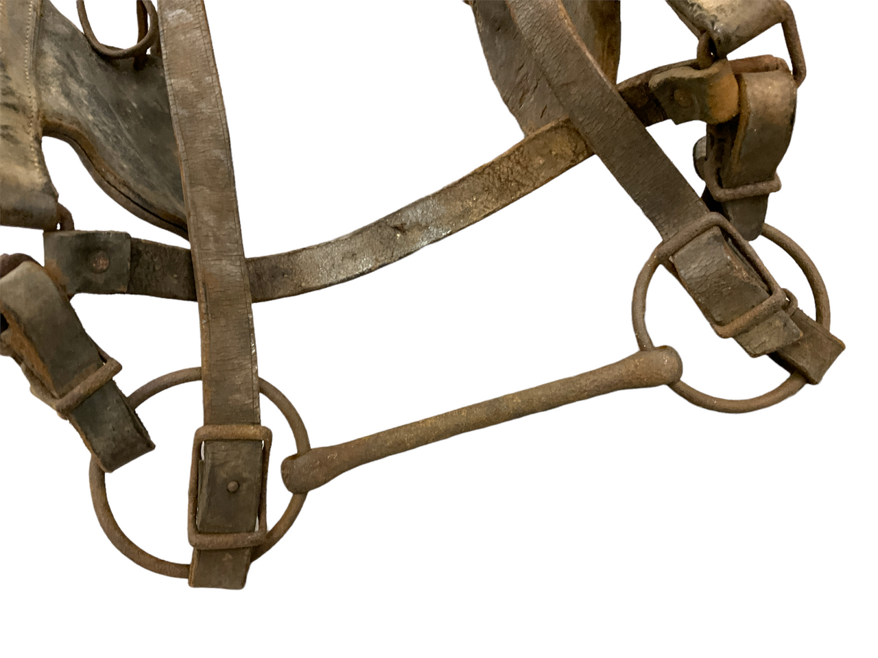 Vintage Decorative Canadian Leather Cart Horse Tack Blinkers & Bridle Vintage Decorative Canadian Leather Cart Horse Tack Blinkers & Bridle