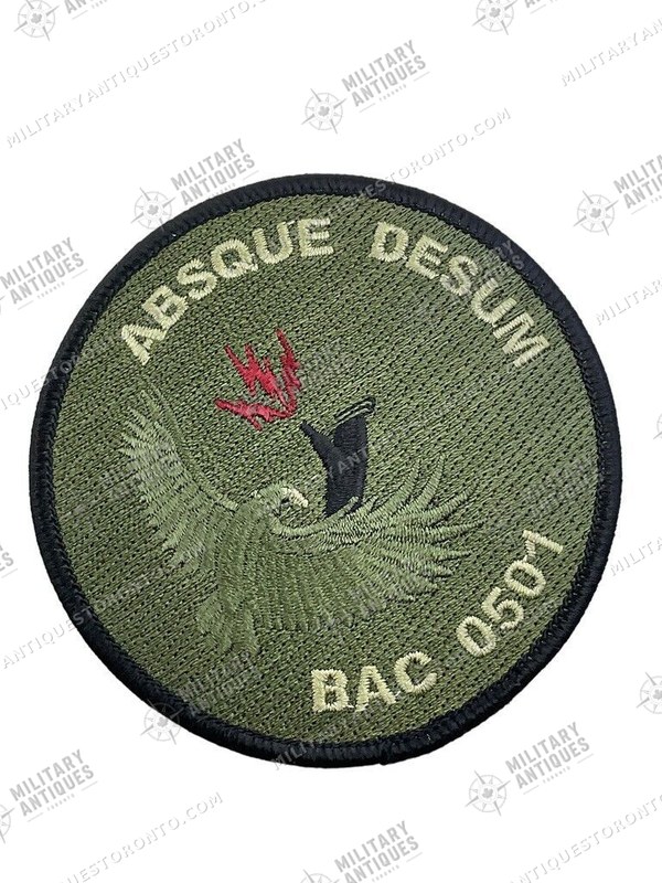 Aso Course Rcaf Canadian Forces RCAF BAC 0501 Absque Desum Course Crest OD Green Patch ...