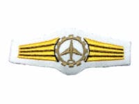 West German Air Force Luftwaffe Pilot Trade Patch Wing 2