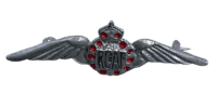 WW2 Canadian RCAF Sweetheart Wings Pin Back