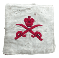 British Physical Training Instructor Cloth Patch