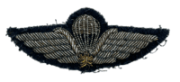 Canadian Airborne Mini Bullion Jump Wing