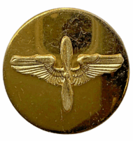 WW2 US USAAF Air Force DUI Distinctive Uniform Insignia