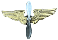 WW2 US USAAF Air Force Pilots Collar Badge Insignia Screw Back