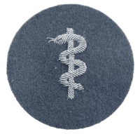 West German Bundeswehr Bullion Sanitatstruppe Army Medical Corps Trade Patch