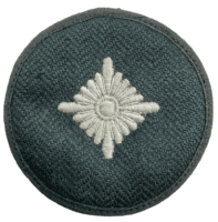 WW2 German Schutz Rank Pip Insignia Patch 2 HBT