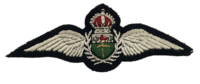 WW2 Rhodesian Rhodesia Air Force Pilots Wing WW2 Rhodesian Rhodesia Air Force Pilots Wing