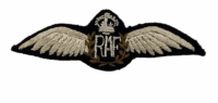 WW2 British RAF Air Force Pilots Wing with Press Studs Theatre Made WW2 British RAF Air Force Pilots Wing with Press Studs Theatre Made