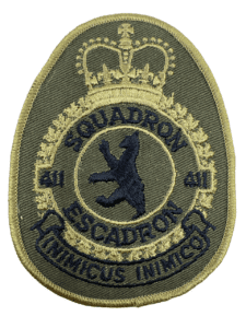 Canadian Forces RCAF 411 Squadron Heraldic OD Green Crest Patch