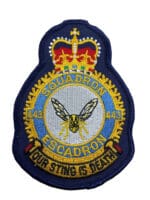 Canadian Forces RCAF 443 Squadron Heraldic Colour Crest Patch Canadian Forces RCAF 443 Squadron Heraldic Colour Crest Patch