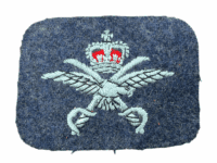 British RAF PTI Physical Training Instructor Sleeve Trade Badge