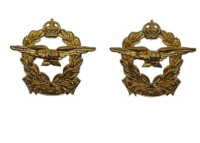 WW2 South African Air Force SAAF Collars Insignia Pair