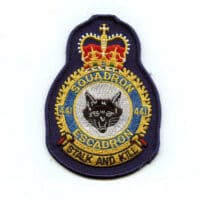 RCAF CAF Canadian 441 Squadron Heraldic Colour Crest Patch
