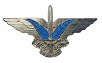 Ciskei Metal Parachutist Airborne Para Jump Wing Insignia