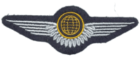 West German Air Force Luftbeobachter Wings Insignia