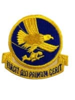 WW2 US 1st Airborne Troop Command Carrier SSI Shoulder Sleeve Insignia Patch