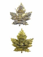 WW1 Canadian CEF 229th Battalion Collars Insignia Pair