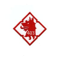 RCAF CAF Canadian 403 Wolf Diamond Squadron Colour Crest Patch
