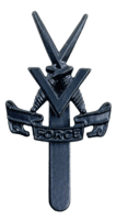 WW2 British V Force Special Forces Cap Badge COPY