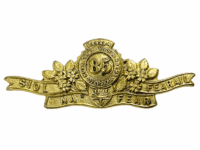 WW1 Canadian CEF 85th Battalion Collar Badge Pin Back Gilt Finish WW1 Canadian CEF 85th Battalion Collar Badge Pin Back Gilt Finish