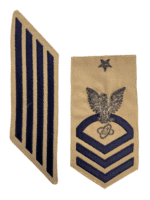 US USN Navy Electronics Technician Sleeve Insignia Pair Bullion Embroidered