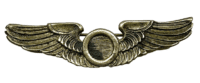 WW2 US USAAF Observer Wings Pin Back
