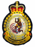 Canadian Forces RCAF Central Experimental & Proving Establishment Crest Patch