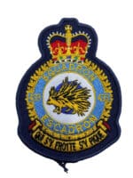 Canadian Forces RCAF 433 Squadron Heraldic Crest Patch Colour Vintage