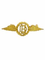 WW2 British RAF Dental Branch Collar Single