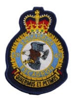 Canadian Forces RCAF 423 Squadron Heraldic Colour Crest Patch Vintage