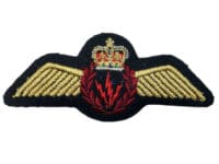 Canadian Forces RCAF AESOP Airborne Electronics Engineers Wing Full Size Mylar