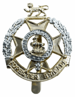 British Forester Brigade Staybrite Cap Badge