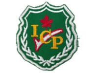 Canadian Forces RCAF Instrument Check Pilot Colour Crest Patch Vintage 1