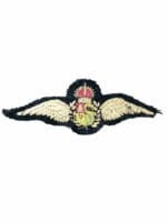 WW2 South African Air Force SAAF Pilots Wing 2