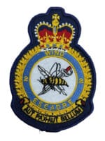 Canadian Forces RCAF 2 Wing Heraldic Colour Squadron Crest Patch Vintage