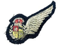 WW2 South African Observer Padded Half Wing 1