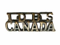 WW1 Canadian CEF 1DBS 1st Depot Battalion Saskatchewan Insignia Single