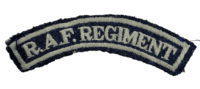 British RAF Regiment Shoulder Title Insignia