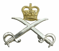 British Army Physical Training PT Instructor Officers Cap Badge