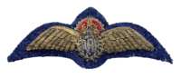 WW2 British Royal Air Force Bullion Embroidered Padded Pilot Wings