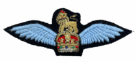 WW2 British Army Air Corps Bullion Pilot Wings Insignia